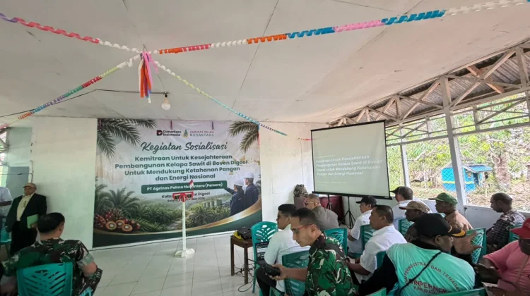 Dukung Pengembangan PSN, Agrinas Tegaskan Komitmen untuk Kesejahteraan