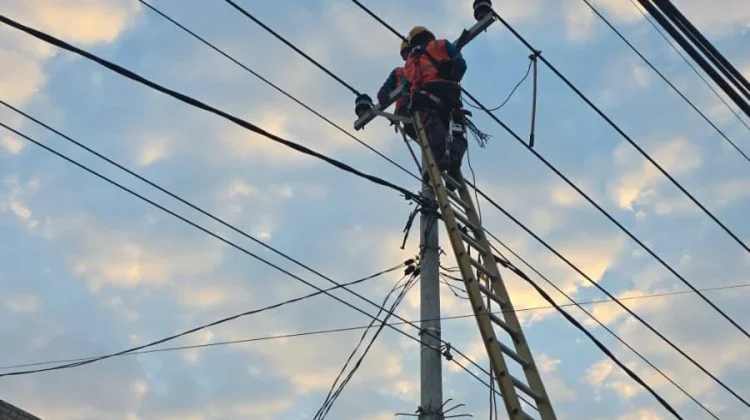 Terbaru, PLN UP3 Merauke, Lakukan Pemeliharaan Jaringan LIstrik