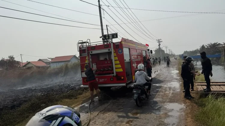 Karhutla di Merauke Sempat Ancam Permukiman Warga