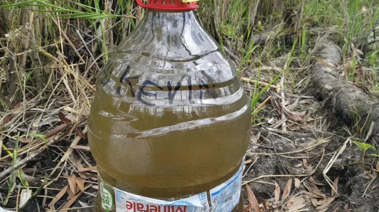Minum Air Rawa Berwarna Kopi Susu, Masyarakat dan Guru Harapkan Dibangun Bendungan.