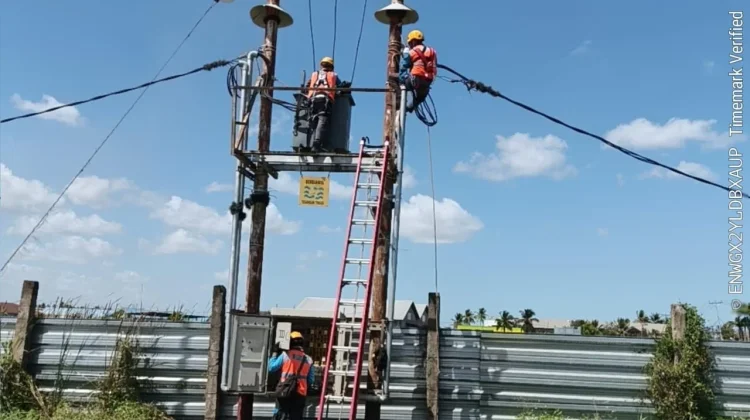 PLN UP3 Merauke Lakukan Pemeliharaan Jaringan, Ketahui Jadwalnya