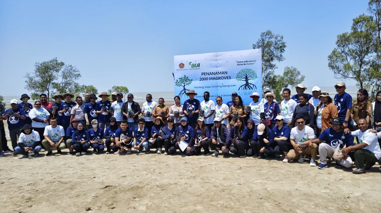 PT BIA dan Unmus Tanam 2.000 Bibit Mangrove di Pantai Payum