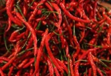 Cek Harga Cabe di Pasar Wamanggu Merauke