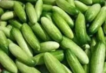 Cek Harga Ketimun di Pasar Wamanggu Merauke