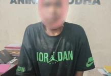 Polres Merauke Bekuk Pelaku Curas Tiga Perempuan Sekaligus