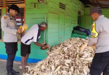 Polsek Jagebob Monitoring Panen Jagung Dukung Ketahanan Pangan