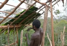 Dari Rumah Pohon ke Rumah Impian