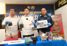 Satresnarkoba Polres Merauke Ungkap Peredaran Ganja