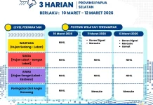 Update Peringatan Dini Cuaca 3 Harian Papsel