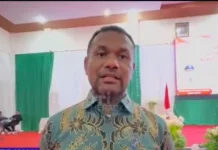 Bupati Mappi Temui Kemenkes, Minta Perhatian Khusus