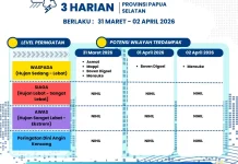 Peringatan Dini Cuaca 3 Harian Papsel