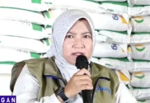 Bulog Merauke Pastikan Stok Beras Aman hingga Tujuh Bulan