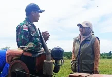 Pastikan Stok Beras Aman, Kabulog dan Babinsa Turun Lapangan