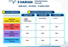 Update Peringatan Dini Cuaca 3 Harian Papsel