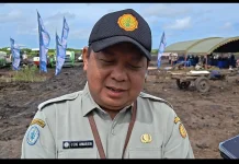 Ratusan Hektar Lahan Sawah di Merauke Mulai Ditanam Serentak