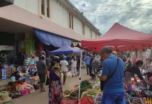 Informasi Harga Bapok Hasil Pertanian di Merauke
