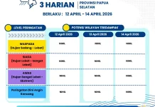 Terkini Peringatan Dini Cuaca 3 Harian Provinsi Papua Selatan