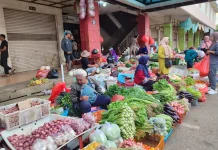 Ketahui Harga Bapok Hasil Pertanian di Merauke