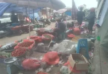 Ketahui Harga Bapok Hasil Lainnya di Merauke