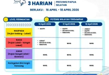Terkini Peringatan Dini  Cuaca 3 Harian Provinsi Papua Selatan