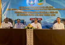 Pemprov Papua Selatan Tingkatkan Kapasitas Pengelola SIKS-NG