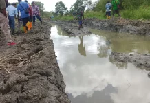 Kepala Kampung Matara Distrik Semangga Minta Pemerintah Bangun Jalan Usaha Tani .