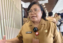 Pemprov Papua Selatan Segera MoU Bersama Tujuh Rumah Sakit Jejaring