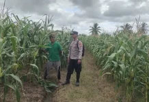 Polisi Semangga Perkuat Ketahanan Pangan Petani