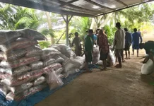 John Gluba Gebze Bantu Bibit Padi Petani Wasur