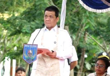 Wujudkan Kampung Terang, Wamendes Resmikan Lampu Penerangan Jalan