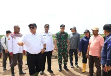 Gubernur Apolo-Ditjen Lahan dan Irigasi Tinjau Cetak Sawah di Waninggap Kai