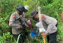 Polres Mappi Bongkar Produksi Miras Ilegal dan Amankan Pelaku