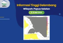 Gelombang MJO, Rossby Equator Aktif di Perairan Papsel