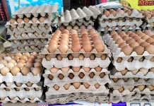 Update Harga Telur Ayam di Pasar Wamanggu Merauke