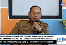 Perjuangan Nelayan Papua Selatan