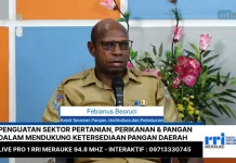 Pangan Lokal Perlu Terus Didorong