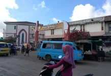 Cek Harga Bapok Peternakan dan Perikanan Merauke