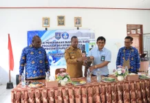 Direktur Iswanto Apresiasi Komitmen Pemprov Papsel Siapkan SDM Kesehatan