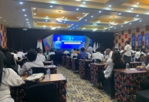 Gubernur Papua Selatan Petakan Tiga Peluang Usaha Utama