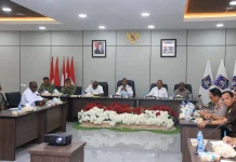 Presiden Direncanakan Panen Raya Padi di Merauke Oktober Mendatang