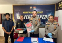 Polres Merauke Bekuk Sepuluh Pencuri Sapi