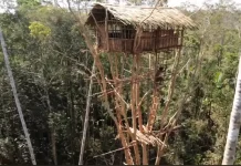 Energi untuk Ujung Negeri