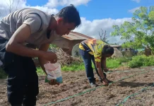 Polisi Turun Tanam Jagung Ketahanan Pangan