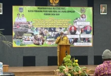 Wagub Papsel Dukung Perjuangan Mama-Mama Papua