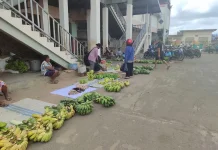 Inilah Harga Bapok Hasil Pertanian Di Merauke