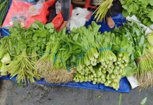 Segini Harga Sayur Mayur Di Pasar Wamanggu Merauke