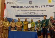 Pemprov Papua Selatan Perkuat Sinergi Layanan Kelistrikan