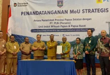 PLN Fokus Listriki Wilayah Pedalaman