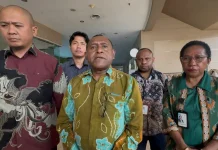 PLN Pastikan Sistem Kelistrikan Merauke Aman