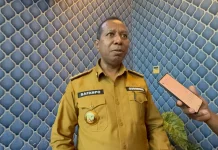 Pemerintah Papua Selatan Usulkan Pengembangan Jagung